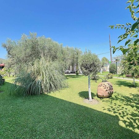 Apartments Alexandros ポリフロノ エクステリア 写真