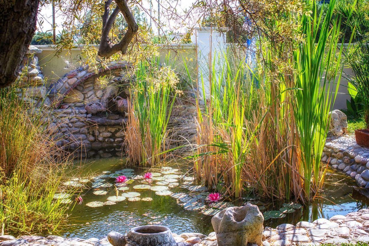 Apartments Alexandros ポリフロノ エクステリア 写真