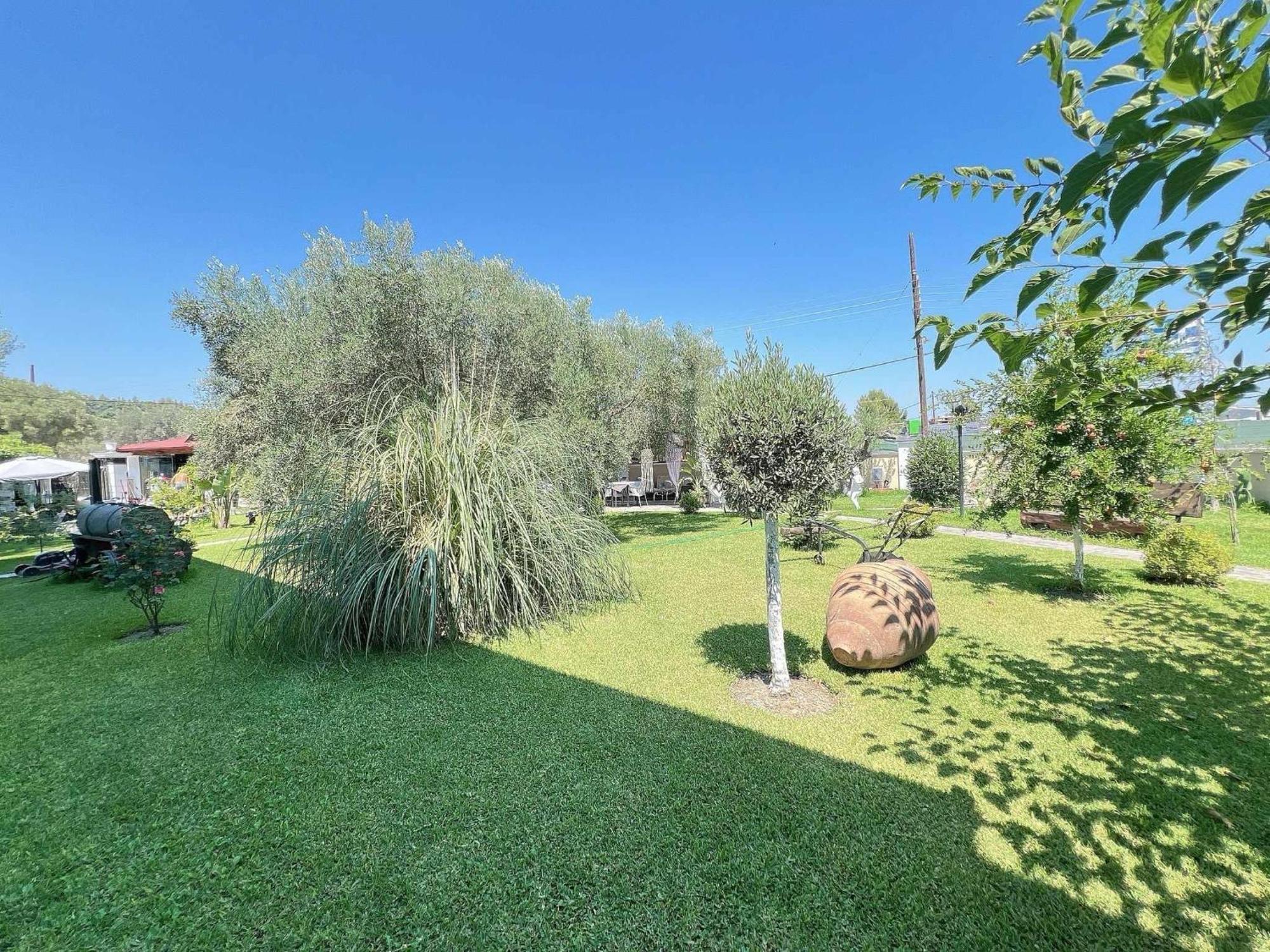 Apartments Alexandros ポリフロノ エクステリア 写真